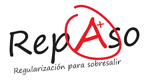Mazappán Tecnología e Innovación - Desarrollo Web, WebApps, Consultoría de TI - RepAso